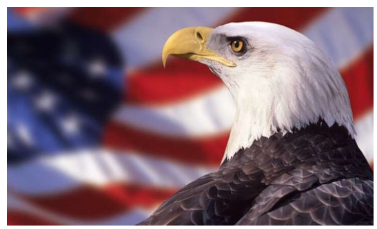 鲍威尔推动金价飙涨,本周非农再度来袭